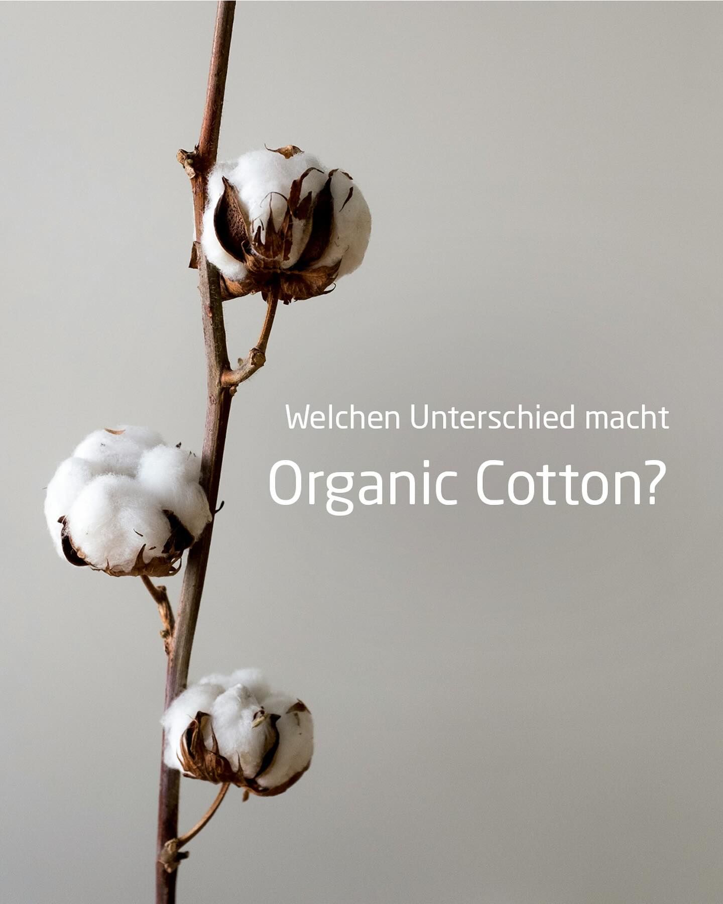 Organic Cotton macht den Unterschied! 
Entscheide dich für Nachhaltigkeit und Tragekomfort mit Organic Cotton! 

#JOY_sportswear #sportswear #organiccotton #baumwolle