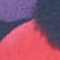 hibiscus red print