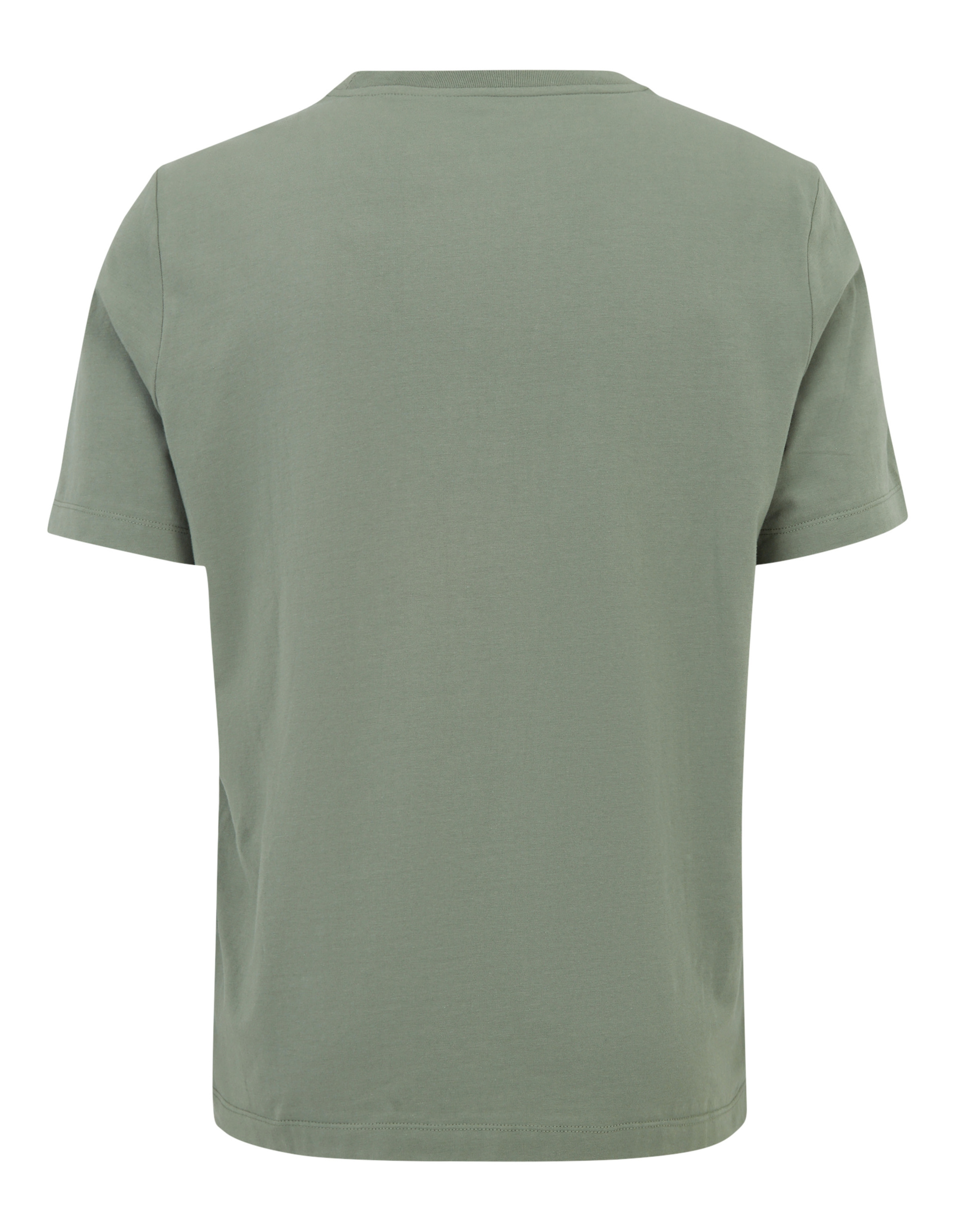 Ein olivgrünes T-Shirt aus Baumwolle, Rückansicht, mit kurzen Ärmeln und einem klassischen Rundhalsausschnitt.